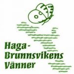 Kritik mot Stallis nybygge i grön plast